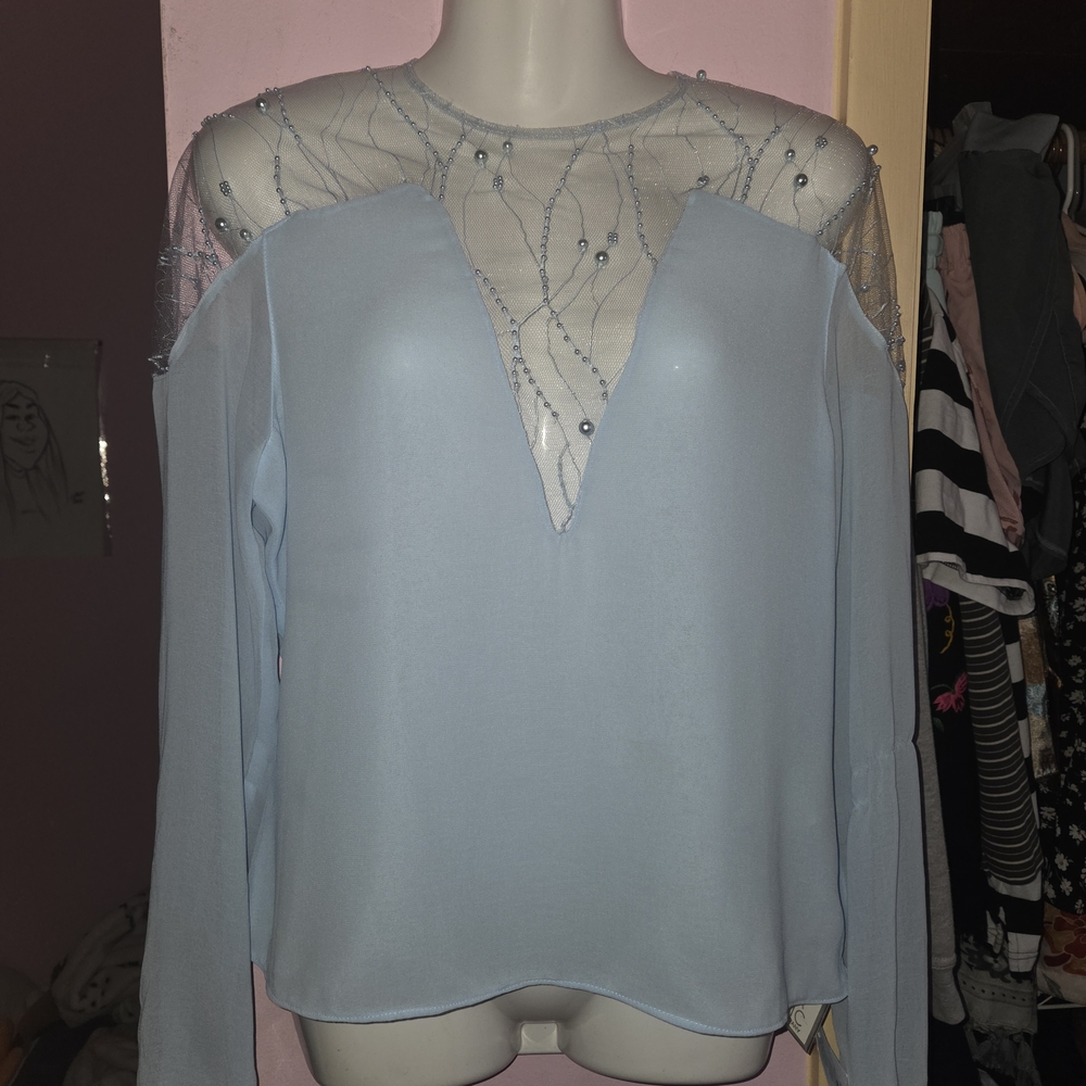 Chic Sheer Light Blue Women's Blouse